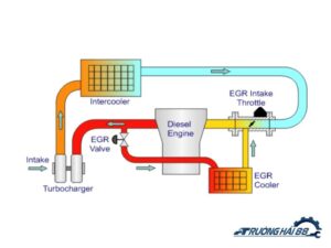 Hệ thống tuần hoàn khí thải EGR
